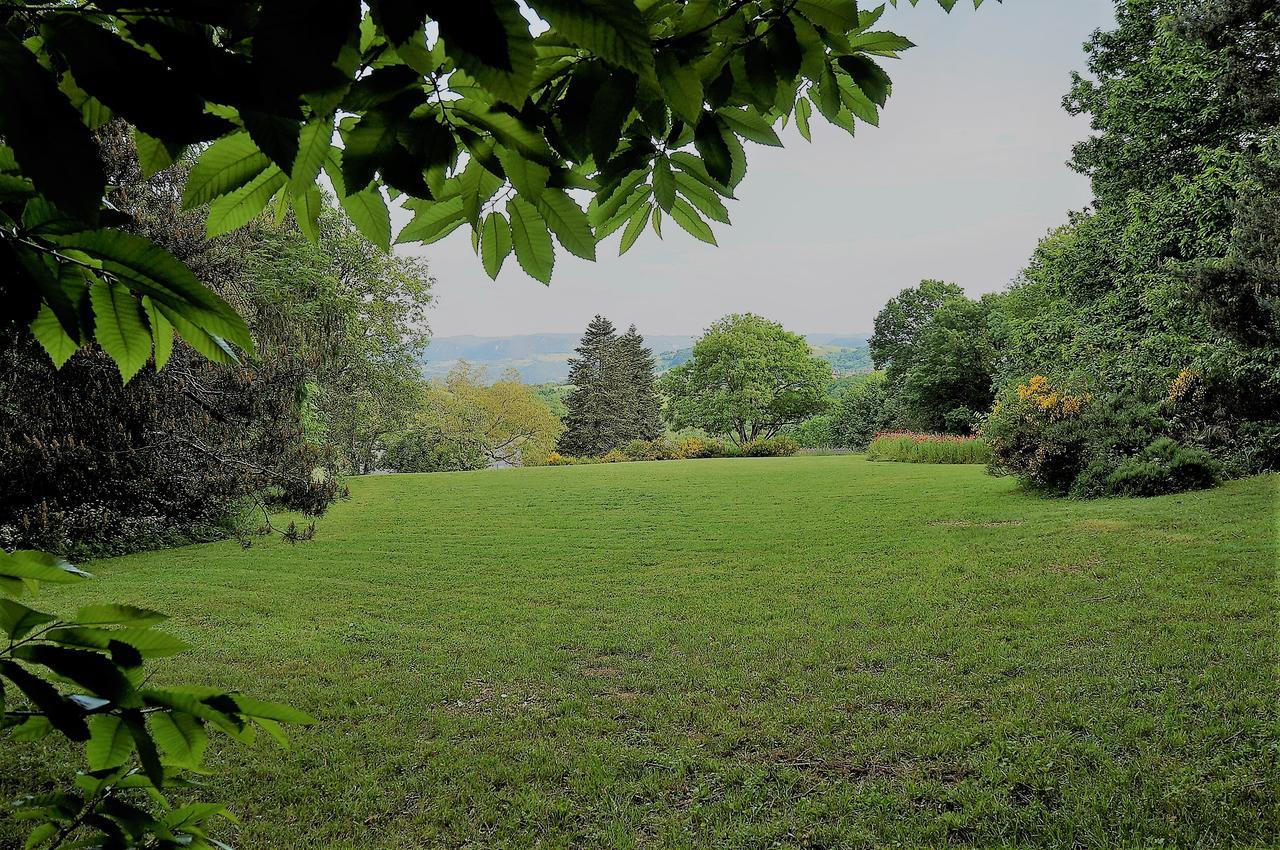 Domaine Des Marequiers Chambre Pimprenelle Saint-Germain-du-Teil Exterior photo